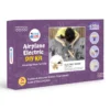 Wooden Electric Airplane STEM Kit