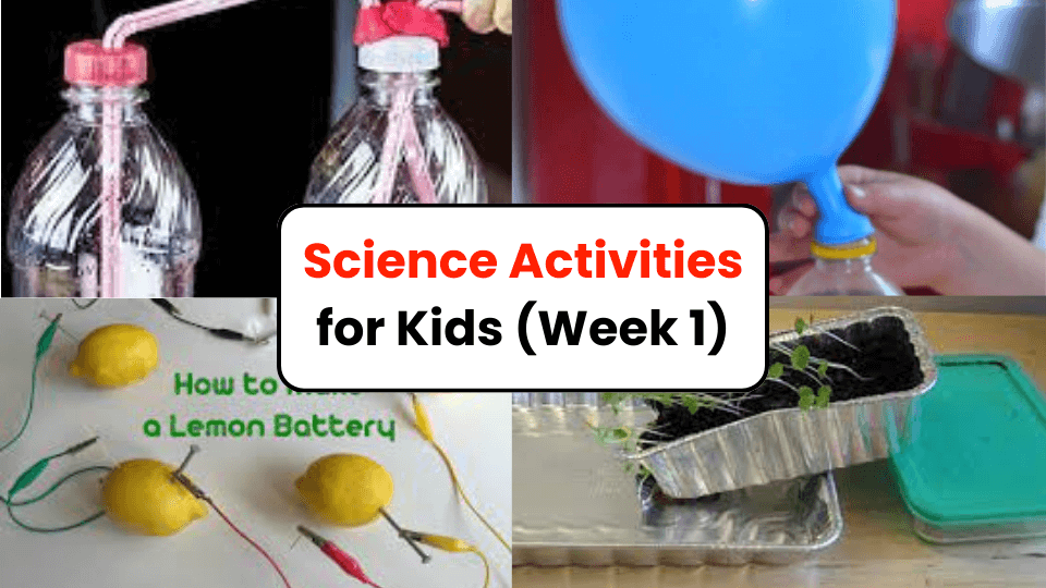 science activities for kids